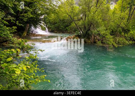 Malerischer Blick auf türkisfarbenes Wasser und Wasserfälle, umgeben von üppigen grünen Wäldern im Nationalpark Plitvicer Seen, Kroatien Stockfoto