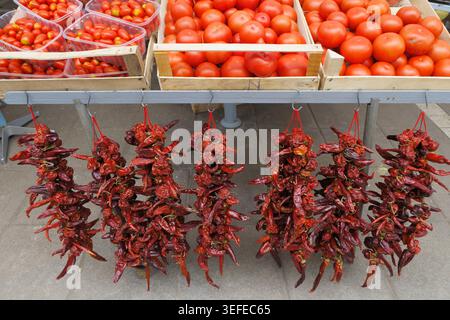 Frische rote Tomaten in Holzkisten und getrocknete Chilischoten hängen an einem Marktstand im Freien Stockfoto