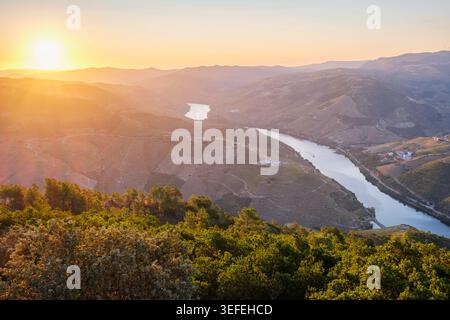 Blick auf den Sonnenaufgang über dem Fluss Douro, der sich zwischen den mit Weinbergen bedeckten Hügeln im Douro-Tal, Portugal, schlängelt. Stockfoto