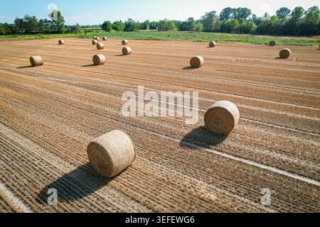 Rundheumballen aus der Vogelperspektive, die auf einem ausgeernteten Feld unter einem klaren blauen Himmel in Carignano, Piemont, Italien, verstreut sind. Stockfoto
