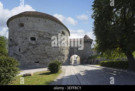Tallinn, Estland. Juli 2022. Blick auf das Great Coastal Gate, das Haupttor des mittelalterlichen Tallinns Stockfoto