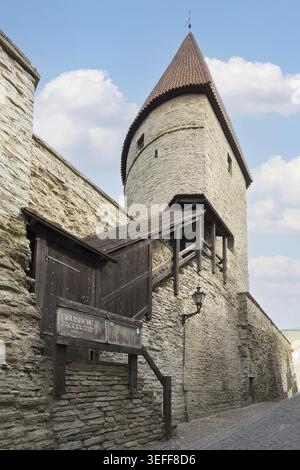 Tallinn, Estland. Juli 2022 Stockfoto