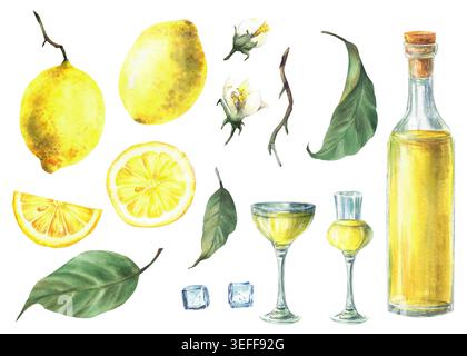 Set mit Zitronen- und Limoncello in Aquarellfarben. Gelber Likör, Getränkeglas, Eiswürfel und ganze, geschnittene und in Scheiben geschnittene Früchte mit Blättern und Blumen. Italienisches Getränk Stockfoto