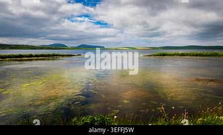 Einige Ornkeys Landschaft mit Loch Water und Feldern im Hintergrund, Schottland Stockfoto