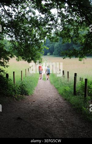 Zwei Wanderer gehen einen von Bäumen gesäumten Feldweg hinunter. Üppiges Grün umrahmt den Weg auf beiden Seiten. Der Weg führt durch ein grasbewachsenes Feld unter weichem Tageslicht. Stockfoto