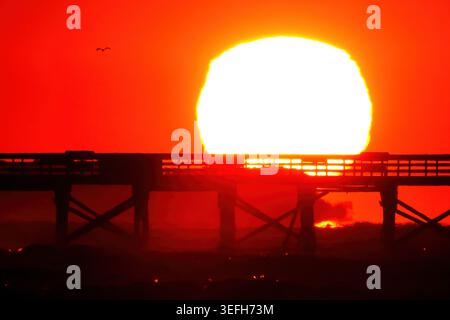 Isle Of Palms, Usa. Mai 2026. Als riesiger orangener Ball erscheint die Sonne über dem Atlantischen Ozean und beleuchtet den IOP Angelpier und Front Beach an einem kühlen Frühlingsmorgen, dem 15. Mai 2026 in Isle of Palms, South Carolina.Credit: Richard Ellis/Richard Ellis/Alamy Live News Stockfoto