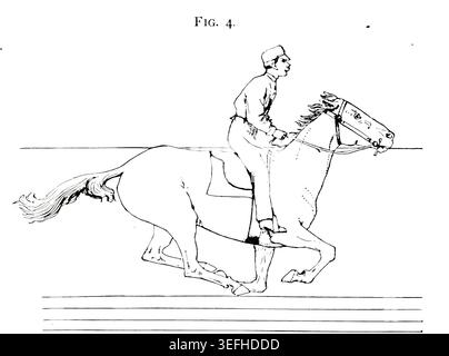 Historische Illustration, die ein Pferd und Reiter galoppiert, zeigt eine spezifische Phase der Bewegungsanalyse des Pferdes, betont Bewegung und wissenschaftliche Beobachtung aus einer antiken Studie. Das Pferd in Bewegung, wie es durch sofortige Fotografie gezeigt wird, mit einer Studie über Tiermechanik, die auf Anatomie und Enthüllungen der Kamera basiert, in der die Theorie der Quadrupedal-Fortbewegung von Jacob Davis Babcock Stillman, 1819–1888, gezeigt wird; Eadweard Muybridge, 1830-1904, veröffentlicht 1882 Stockfoto