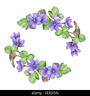 Blumenrahmen in Aquarellfarben mit Blumen und Blättern in Frühlingsviolett. Anemone hepatica (Leberkraut) Blüten isoliert auf weiß. Gut für Einladungen Stockfoto