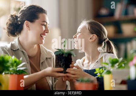 Fröhliche Mutter und Tochter teilen einen zärtlichen Moment, während sie einen Setzling zusammen in einem Haus Pflanzen. Umgeben von lebendigen Topfpflanzen, genießen sie die Bindung von Stockfoto