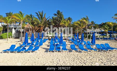 Playa Del Carmen, Quintana Roo, Mexiko - 15. April 2026: Strand mit blauen Liegestühlen, Sonnenschirmen, Palmen und klarem blauen Himmel. Stockfoto