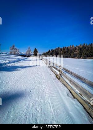Schneebedeckter Pfad, der sich durch ein Winterfeld entlang eines hölzernen Zauns mit dichtem Wald unter einem klaren blauen Himmel erstreckt Stockfoto