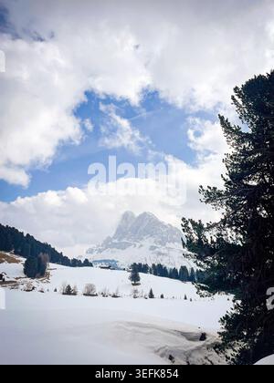 Winterszene im Trentino Südtirol, Italien, mit schneebedeckten Dolomiten und einer weiten weißen Landschaft Stockfoto