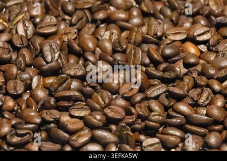 Vollbild-Hintergrundstruktur frisch gerösteter dunkelbrauner Kaffeebohnen, Nahaufnahmen. Stockfoto