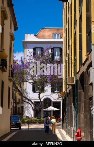 Funchal Madeira 9. Mai 2026 Eine enge Straßenszene zeigt Gebäude auf beiden Seiten unter klarem blauem Himmel. Stockfoto