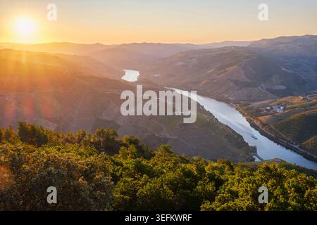 Goldenes Sonnenaufgangslicht leuchtet über dem Fluss Douro und den terrassenförmig angelegten Weinbergen im Douro-Tal, Portugal, von einer Drohne aus gesehen. Stockfoto