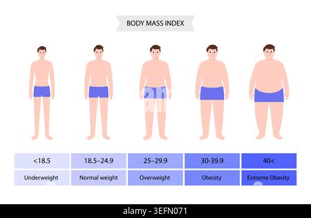 Body Mass Index, Abbildung. Stockfoto