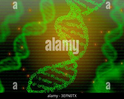 Bioinformatik, konzeptuelle Illustration. Stockfoto