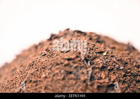Mischung Teepulver-Textur im Löffel, angewinkelte Draufsicht-Makrofoto mit weichem, unscharfen Hintergrund und feinen Körnerdetails Stockfoto