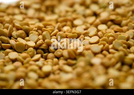 Split Chana Dal Textur mit Defocus Hintergründen Makrofotografie Stockfoto
