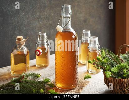 Eine Flasche hausgemachter Kräutersirup aus jungen Fichtenspitzen, die im Frühjahr gesammelt werden Stockfoto