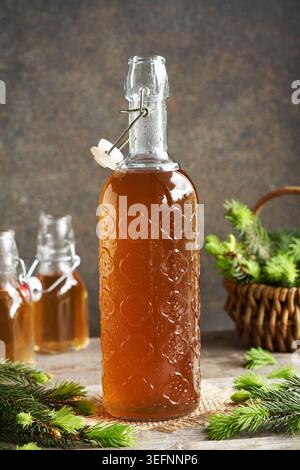 Eine Flasche hausgemachten Kräutersirup mit jungen Fichtenspitzen, die im Frühjahr geerntet werden Stockfoto