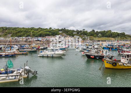 Küstenblick auf den Hafen von Lyme Regis mit Fischerbooten und Stadt. Lyme Regis, UK, 3. Juli 2024 Stockfoto