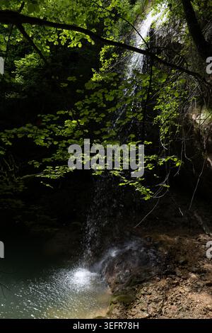 Eine kleine Kaskade fließt in einen türkisfarbenen Naturpool bei Slap Butori in Istrien Kroatien, umgeben von dichten Waldbäumen, Felsen und friedlichem Sommerscener Stockfoto