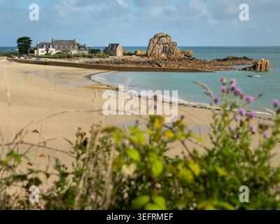 Plougrescant, Frankreich - 26. August 2020: Ein großer rosafarbener Gouffre-Felsbrocken aus Granit erhebt sich hinter weißem bretonischen Haus mit rotem Dach auf geschwungenem Sandstrand mit p Stockfoto