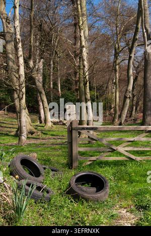 Alte Reifen wurden illegal abgeladen und an einem sonnigen Tag neben einem Holztor am Rande eines Waldes gestapelt Stockfoto