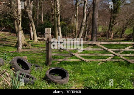 Alte Reifen wurden illegal abgeladen und an einem sonnigen Tag neben einem Holztor am Rande eines Waldes gestapelt Stockfoto