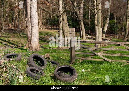Alte Reifen wurden illegal abgeladen und an einem sonnigen Tag neben einem Holztor am Rande eines Waldes gestapelt Stockfoto