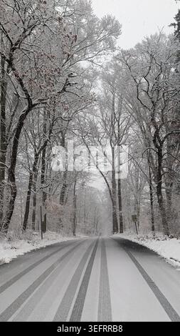 Leere Asphaltstraße mit Schnee und Reifenspuren durch den Winterwald. Stockfoto