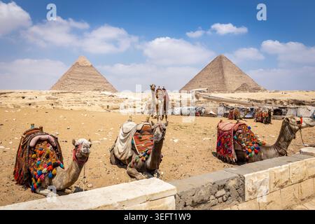 Kamele mit bunten Sätteln vor dem Pyramidenkomplex von Gizeh und große Sphinx von Gizeh mit Souvenirständen dahinter, Ägypten. Stockfoto