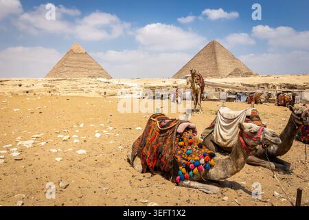 Kamele mit bunten Sätteln vor dem Pyramidenkomplex von Gizeh und große Sphinx von Gizeh mit Souvenirständen dahinter, Ägypten. Stockfoto