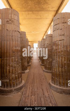 Eingangskolonnade zur Pyramide des Djoser Komplexes (Stufenpyramide von Djoser) in Sakkara Nekropolis, Ägypten, Reihe von Steinsäulen, symmetrischer Blick. Stockfoto