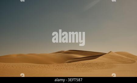 Goldene Sanddünen in Wüstenlandschaft unter klarem Himmel Stockfoto