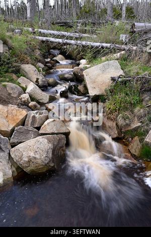 Mit Stein gefüllter Bach im Naturpark Harz. Braunes Wasser fließt nach unten. Lange Belichtung und Weitwinkelansicht. Schierke, Naturpark Harz, Sachsen-Anhalt. Stockfoto