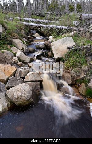 Mit Stein gefüllter Bach im Naturpark Harz. Braunes Wasser fließt nach unten. Lange Belichtung und Weitwinkelansicht. Schierke, Naturpark Harz, Sachsen-Anhalt. Stockfoto