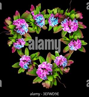 Realistische Rhododendron Blumenkränze, herzförmige Komposition und botanische Elemente isoliert auf weißem Hintergrund, romantische florale Clipart-Set Stockfoto