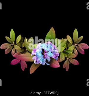 Realistische Rhododendron Blumenkränze, herzförmige Komposition und botanische Elemente isoliert auf weißem Hintergrund, romantische florale Clipart-Set Stockfoto