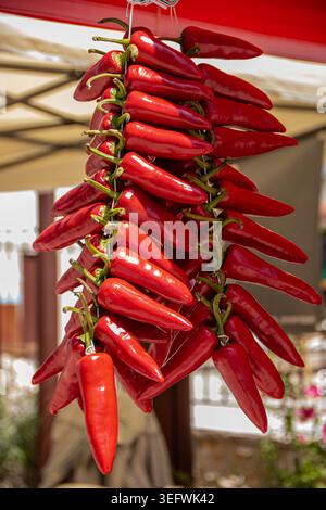 Hendaye, Frankreich, 15. August 2025, eine Nahaufnahme einer traditionellen Reihe von leuchtenden roten Chilischoten, die an einem Stand auf einem lokalen Markt hängen Stockfoto