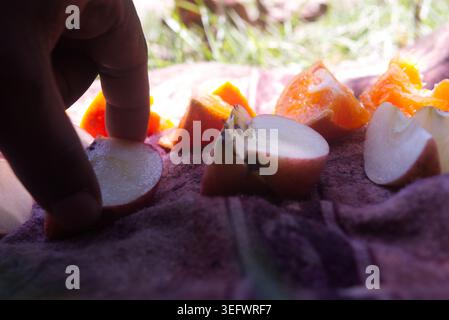 Handgreiflich geschnittene Äpfel während eines Picknicks im Freien. Gesundes Snack, frisches Obst und entspannter Sommer-Lifestyle. Stockfoto