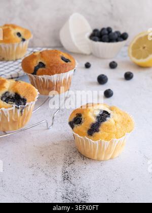 Blick von vorne auf hausgemachte Heidelbeermuffins mit frischen Heidelbeeren und Zitronenscheiben Stockfoto