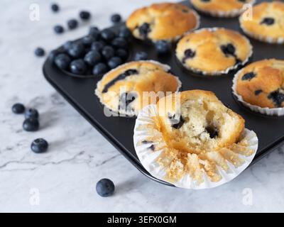 Nahansicht von Heidelbeermuffins in Backblech mit frischen Beeren auf heller Oberfläche Stockfoto