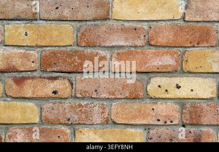 Nahaufnahme einer rustikalen Mauerstruktur mit mehrfarbigen Tonziegeln und grauen Mörtelfugen Stockfoto