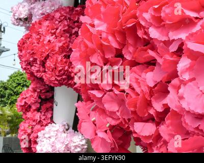 Nahaufnahme der leuchtenden roten und rosafarbenen künstlichen Hortensie-Blumen im Freien. Natürliches Sonnenlicht beleuchtet die strukturierten Blütenblätter und den grünen Fell Stockfoto