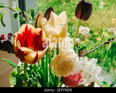 Eleganter Blumenstrauß aus bunten Tulpen und blühenden Zweigen, die in natürlichem Sonnenlicht in der Nähe eines Fensters leuchten. Frisches Frühlingsblumenarrangement mit leuchtendem Blütenblatt Stockfoto