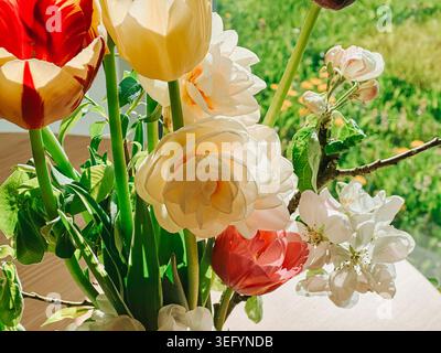 Heller Frühlingsstrauß aus Tulpen und zarten blühenden Zweigen, beleuchtet durch natürliches Sonnenlicht in der Nähe eines Fensters. Lebendiges Blumenarrangement mit frischen s Stockfoto
