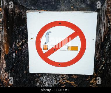 Wildbrand-Verhütungsschild, Waldbrandwarnung, Rauchverbot und offenes Flammensymbol in der Natur, Umweltsicherheit Stockfoto