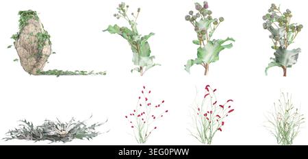 Pflaumenblüte, Stein, Genista Lydia, Carlina acaulis, Saussurea, Gras mit Blumen isoliert weißem Hintergrund, 3D gerendert Stock Vektor